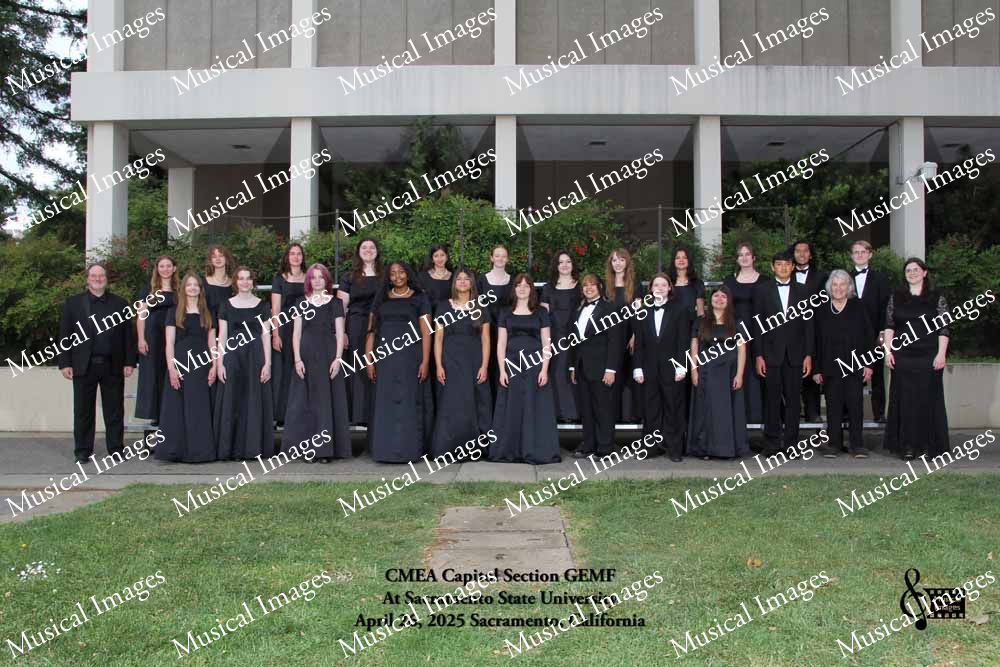 Musical Images